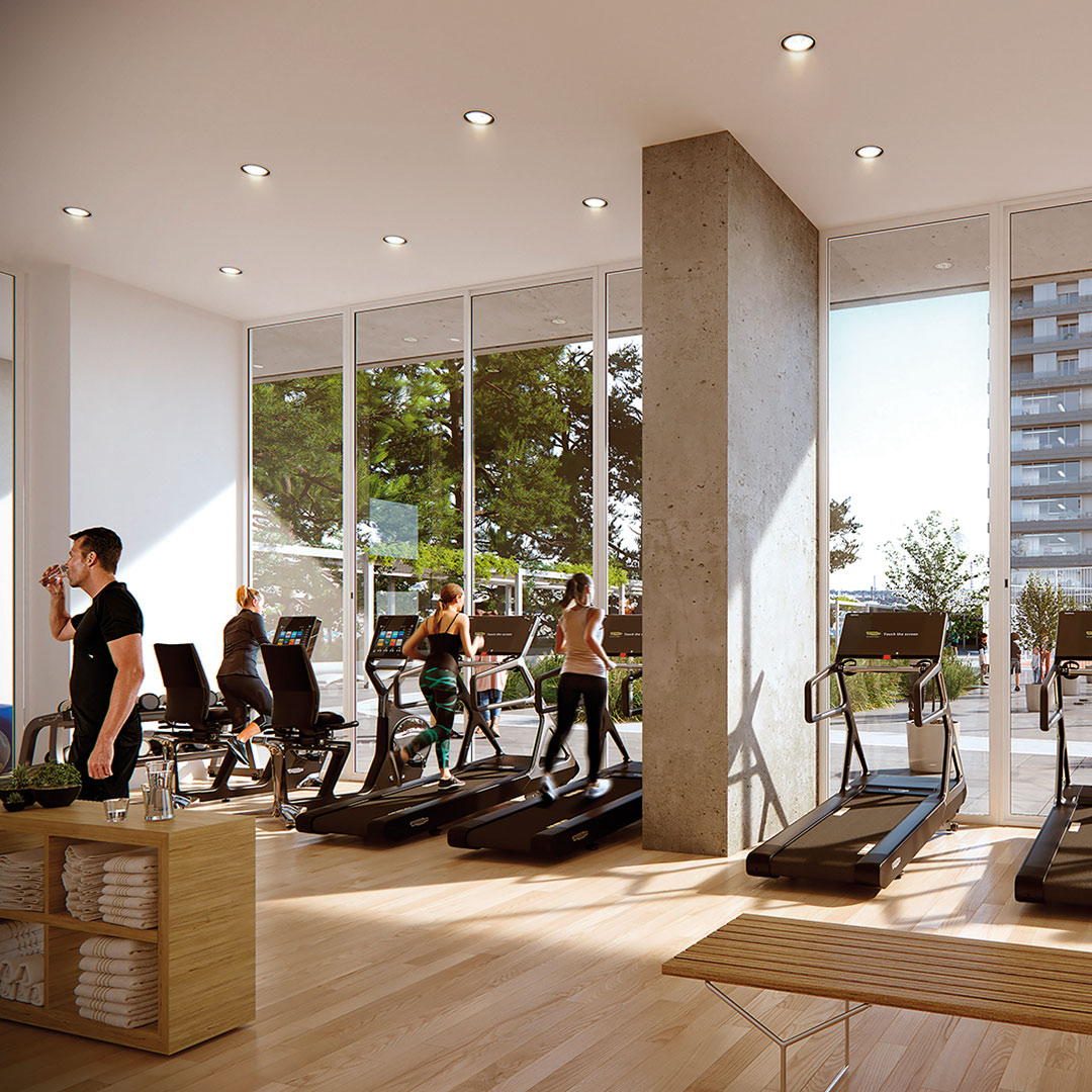 Gimnasio