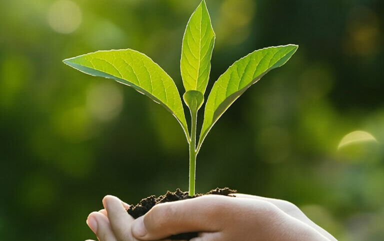 Santander Uruguay impulsa un modelo de banca con impacto real: social, ambiental y con propósito